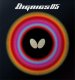 BUTTERFLY Dignics 05